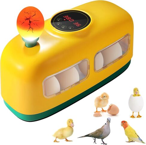 Egg Incubator, 8 Eggs Incubator with Led Candler Temperature Humidity Control and Display, Digital Incubator Educational Tool for Chicken Duck Goose Quail Bird Eggs in Kuwait