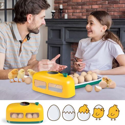 Egg Incubator, 8 Eggs Incubator with Led Candler Temperature Humidity Control and Display, Digital Incubator Educational Tool for Chicken Duck Goose Quail Bird Eggs in Kuwait