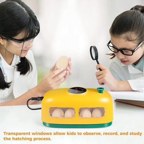 Egg Incubator, 8 Eggs Incubator with Led Candler Temperature Humidity Control and Display, Digital Incubator Educational Tool for Chicken Duck Goose Quail Bird Eggs in Kuwait
