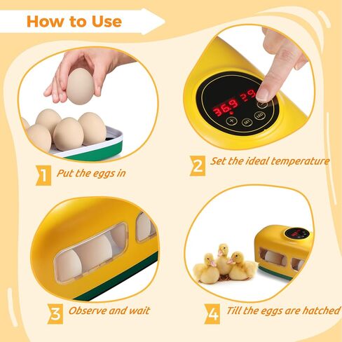 Egg Incubator, 8 Eggs Incubator with Led Candler Temperature Humidity Control and Display, Digital Incubator Educational Tool for Chicken Duck Goose Quail Bird Eggs in Kuwait