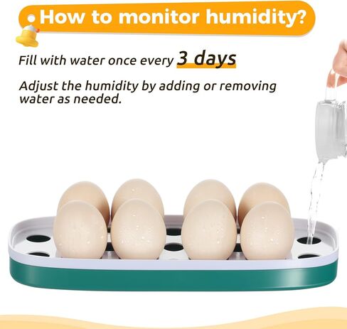 Egg Incubator, 8 Eggs Incubator with Led Candler Temperature Humidity Control and Display, Digital Incubator Educational Tool for Chicken Duck Goose Quail Bird Eggs in Kuwait