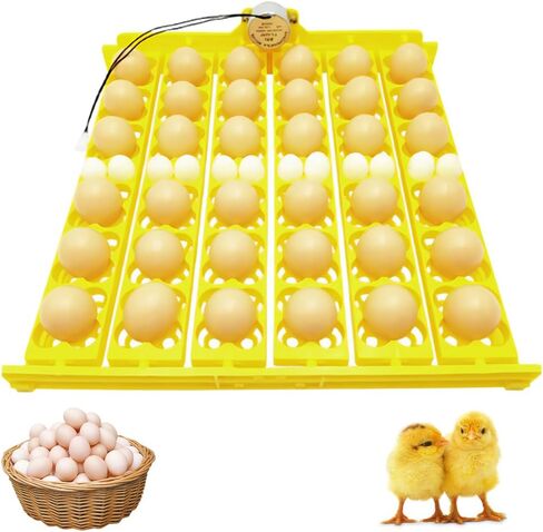 جهاز تقليب البيض الأوتوماتيكي FXTNKYY (36 بيضة)، صينية دوارة لحاضنات الدجاج، صينية حضانة البيض، ملحقات حضانة الصينية، معدات تقليب لاحتضان جميع أنواع البيض (110 فولت) in Kuwait