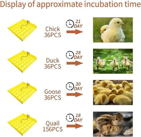جهاز تقليب البيض الأوتوماتيكي FXTNKYY (36 بيضة)، صينية دوارة لحاضنات الدجاج، صينية حضانة البيض، ملحقات حضانة الصينية، معدات تقليب لاحتضان جميع أنواع البيض (110 فولت) in Kuwait