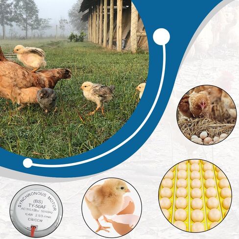 جهاز تقليب البيض الأوتوماتيكي FXTNKYY (36 بيضة)، صينية دوارة لحاضنات الدجاج، صينية حضانة البيض، ملحقات حضانة الصينية، معدات تقليب لاحتضان جميع أنواع البيض (110 فولت) in Kuwait