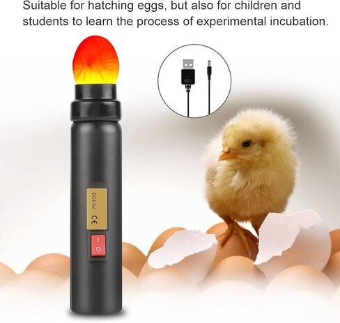 Haosie Egg Candler, LED Egg Hatching Test Light, High Intensity LED Chicken Egg Candler Mini Egg Tester Pen for Science Experiment Power by Battery & Power Supply in Kuwait