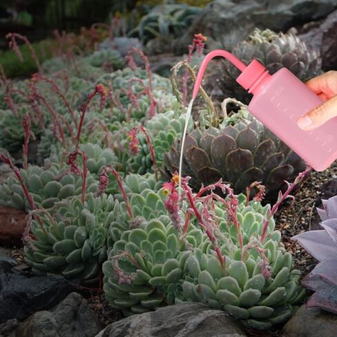 3 عبوات من زجاجات غسيل الوشم، 150 مل 250 مل 500 مل زجاجات مياه سقي عصاري، أدوات سقي شطف آمنة، ضغط بلاستيكي للمختبر الطبي، رش الري (أبيض، أسود، وردي) in Kuwait