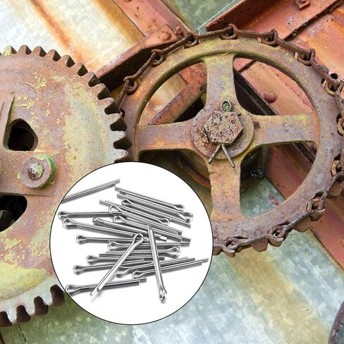 مجموعة متنوعة من دبابيس كوتر، 150 قطعة من دبابيس كوتر المصنوعة من الفولاذ المقاوم للصدأ، دبابيس مقسمة، مجموعة تثبيت مفاتيح بمشبك دبوس كوتر للسيارات والسيارات والشاحنات وجزازة العشب ودبابيس وصلة المقطورة in Kuwait