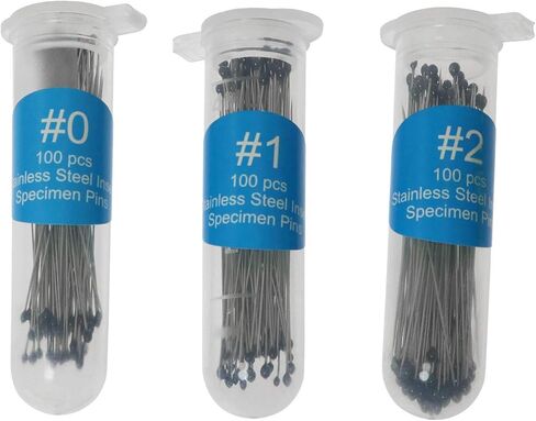 SQXBK دبوس الحشرات 300 قطعة 3 أحجام إبر عينة التركيب من الفولاذ المقاوم للصدأ مع قنينة تخزين بلاستيكية صلبة آمنة مقاس 0 1 2 دبابيس علم الحشرات in Kuwait