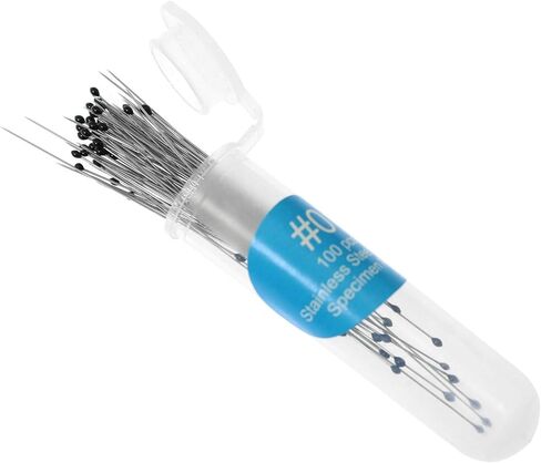 SQXBK دبوس الحشرات 300 قطعة 3 أحجام إبر عينة التركيب من الفولاذ المقاوم للصدأ مع قنينة تخزين بلاستيكية صلبة آمنة مقاس 0 1 2 دبابيس علم الحشرات in Kuwait