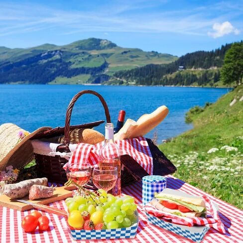 صواني طعام ورقية بنمط مربعات باللونين الازرق والابيض in Kuwait