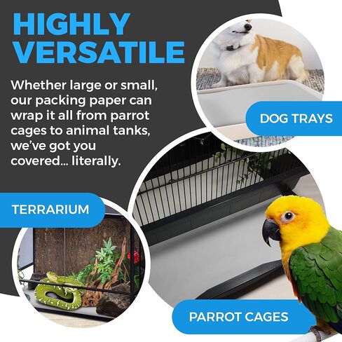 ورق تعبئة ورق للتحريك - 3.36 كجم - 240 ورقة من ورق الصحف - يجب أن يكون في مستلزماتك المتحركة - 68.58 سم × 43.18 سم - صنع في الولايات المتحدة الأمريكية in Kuwait