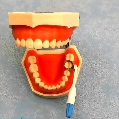 أربطة مصفوفة الأسنان 50 قطعة نظام مصفوفات معدنية 4.5 مم مع مثبت قابل للتعديل لترميم الأسنان in Kuwait