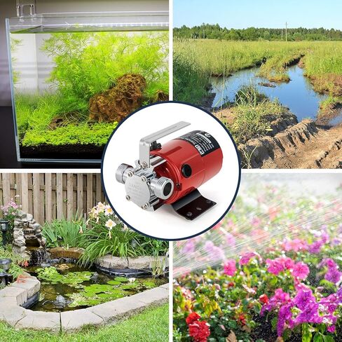 Utility Pump, Prostormer 1/10HP 120V Mini Portable Electric Water Transfer Pump 330GPH Plumbing Equipment with Water Hose Kit Great for Yard, Garden, Pool Draining in Kuwait