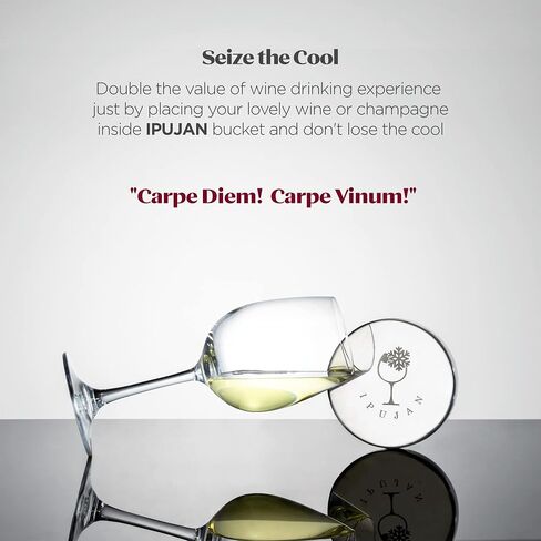 IPUJAN Wine Chiller Bucket with Stainless Ice Stone - Champagne Bucket for 750ml Single Bottle Cold up to 5 Hours - Iceless Insulated Double Walled White Wine Cooler Bucket in Saudi Arabia