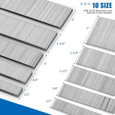 2600 Pieces 1/4-inch Narrow Crown Staples 18 Gauge(1", 1-1/4",1-1/2"3/4", 1/2") Brad Nails 18 Gauge Assorted (1/2",3/4",1",1-1/4",2") Heavy Duty Staples Galvanized in Saudi Arabia