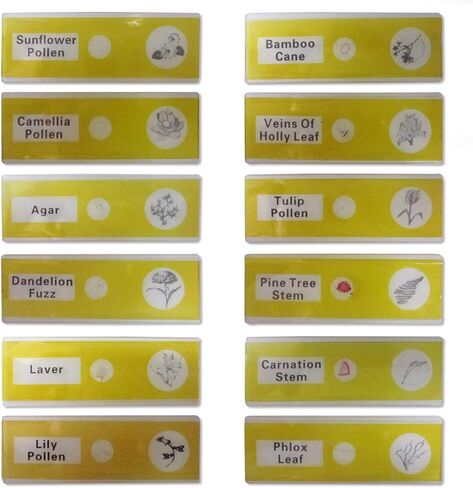 اكيتوك مجموعة شرائح مجهر جاهزة 48 قطعة من الحيوانات والحشرات والنباتات والزهور وعينات للتعليم in Kuwait