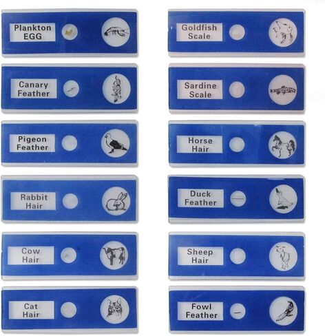 اكيتوك مجموعة شرائح مجهر جاهزة 48 قطعة من الحيوانات والحشرات والنباتات والزهور وعينات للتعليم in Kuwait