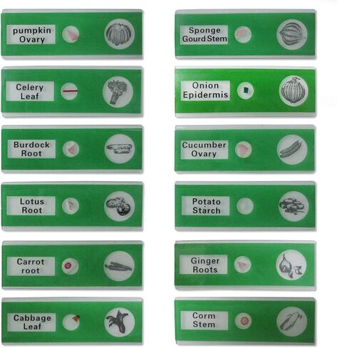 اكيتوك مجموعة شرائح مجهر جاهزة 48 قطعة من الحيوانات والحشرات والنباتات والزهور وعينات للتعليم in Kuwait