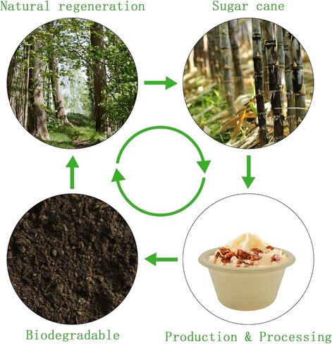 cezoyx 300 حزمة 2 أوقية أكواب ألياف قصب السكر الطبيعية، أكواب بهار ورقية يمكن التخلص منها، أكواب تذوق قابلة للتحلل، أكواب جزء عينة لجيلو شوت، سوفلي، بهار، صلصة in Kuwait