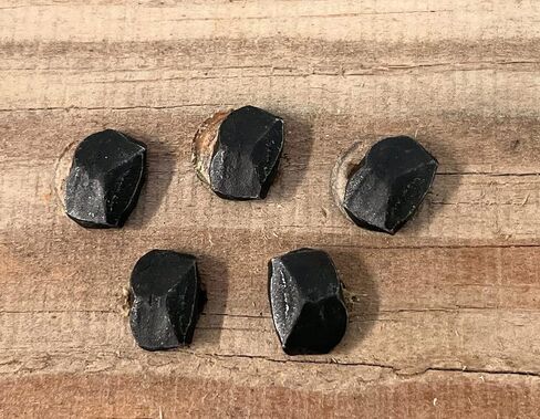 Metal Magery 2" Wrought Head Nails Decorative Antique Rose Head Nail QTY: 25 in Saudi Arabia
