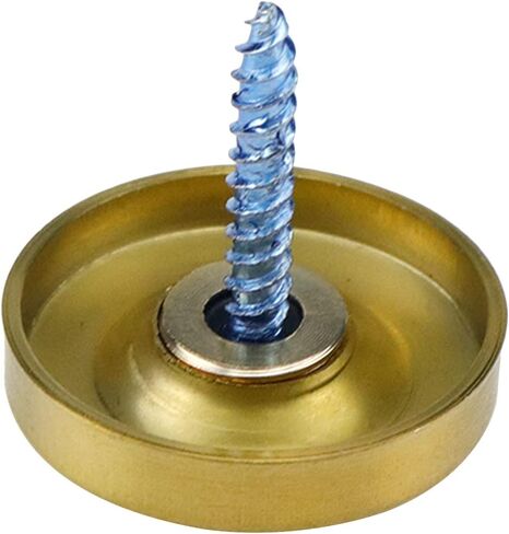 Mirror Screws Cap,8Pcs 16mm(5/8") Black Stainless Steel Mirror Nails Decorative Screw Caps Advertising Nails in Saudi Arabia