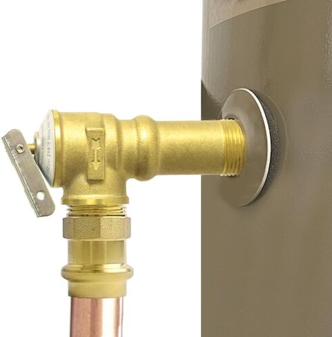 صمام تخفيف درجة الحرارة والضغط الأوتوماتيكي HYDRO MASTER مع مسبار تمديد ورافعة (ساق قياسية) in Kuwait