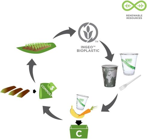 حاوية سوشي بلاستيكية فاخرة من المنتجات البيئية EP-SH3-CPK مع غطاء، طول 9 بوصة × عرض 6 بوصة × ارتفاع 1-3/4 بوصة (6 عبوات من 100 قطعة) in Kuwait