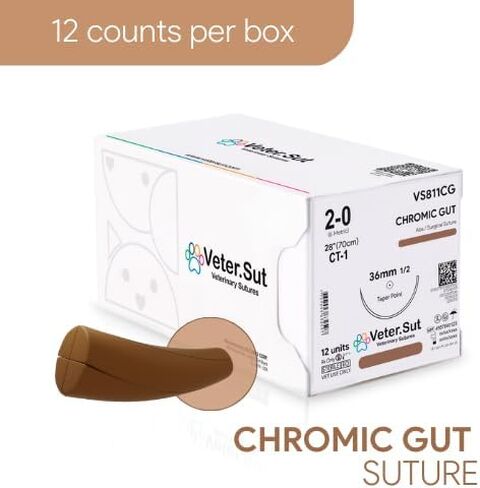 خياطة جراحية للامعاء الكروميك 2-0 من فيترسوت، (CT-1) 1/2 36 ملم، 12 قطعة، للاستخدام البيطري in Kuwait