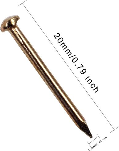 Hardware Nail Assortment Kit (300pcs), Brass Plated Nails for Hanging Pictures (10MM) in Saudi Arabia
