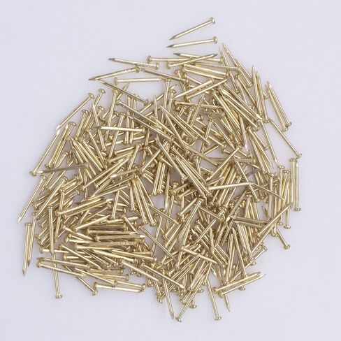 Hardware Nail Assortment Kit (300pcs), Brass Plated Nails for Hanging Pictures (10MM) in Saudi Arabia
