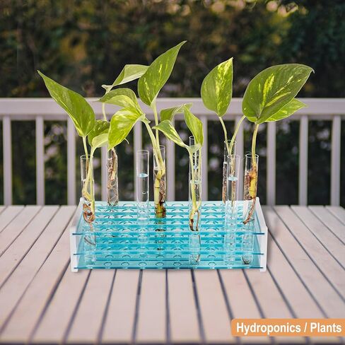 رف أنابيب اختبار البلاستيك (3 عبوات) | حامل أنبوب اختبار للقوارير والأنابيب لتخزين المواد الصلبة (الخرز وعينات الحبر ومرطب الشفاه) والسوائل (طلقات المشروبات الكحولية والزيوت العطرية) والنباتات المائية in Kuwait