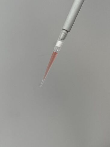 Lab Genome 1000 ميكرولتر، أطراف ماصة معقمة ذات فلتر عالمي، احتفاظ منخفض، PP، راتنج عالي الجودة، أطراف مرفوعة D (Nase)، R (Nase)، P (yrogen) مجانية (عبوة من 576 طرفًا)، شفاف in Kuwait