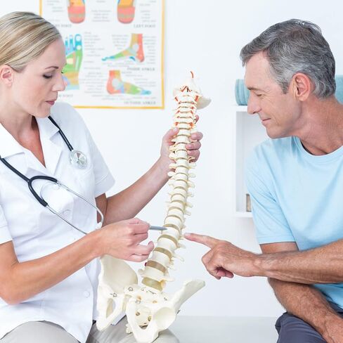 HINGONS نموذج العمود الفقري، 34 بوصة مرن بالحجم الطبيعي للحبل الشوكي نموذج العلاج بتقويم العمود الفقري مع الحوض والحبل الشوكي والأعصاب والفقرات، نموذج العمود الفقري للعرض التشريحي للطبيب والعلوم والتعليم ودراسة التشريح in Kuwait