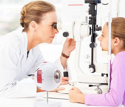 SKUMOD Eyeball Anatomical Model, Detachable Eyeball Model 7 Parts, Scientific Eyeball Model Include Corneal, Sclera, Choroid, Retina, Iris, Lens, Vitreous Body, Optic Nerve Etc with Colorful Manual in Kuwait