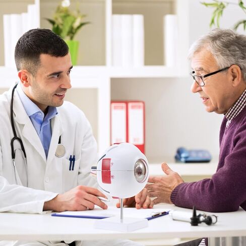 SKUMOD Eyeball Anatomical Model, Detachable Eyeball Model 7 Parts, Scientific Eyeball Model Include Corneal, Sclera, Choroid, Retina, Iris, Lens, Vitreous Body, Optic Nerve Etc with Colorful Manual in Kuwait