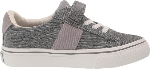 ساير PS رمادي CHMBRY/PPWH PP in Kuwait