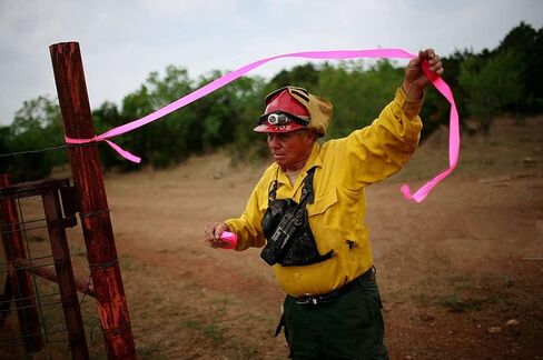 عرض 1.18 بوصة، شريط علم بطول 300 بوصة للمناطق أو الحدود الخطرة، شريط غير لاصق، شريط علم اقتصادي (برتقالي) in Kuwait