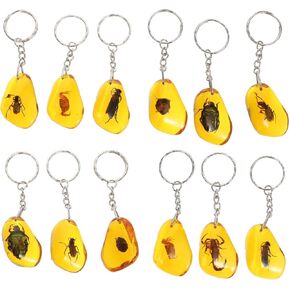 balacoo 12Pcs Amber Insect Keychain, Bugs Amber Specimen Amber Pendants Keychain DIY Insect Specimen Key Ring Chic Keyring Pendant in Kuwait