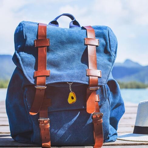 Balacoo 12 قطعة سلسلة مفاتيح على شكل حشرة كهرمانية، سلسلة مفاتيح على شكل حشرة كهرمانية من الكهرمان، سلسلة مفاتيح DIY على شكل حشرة، حلقة مفاتيح أنيقة، قلادة كيرينغ in Kuwait