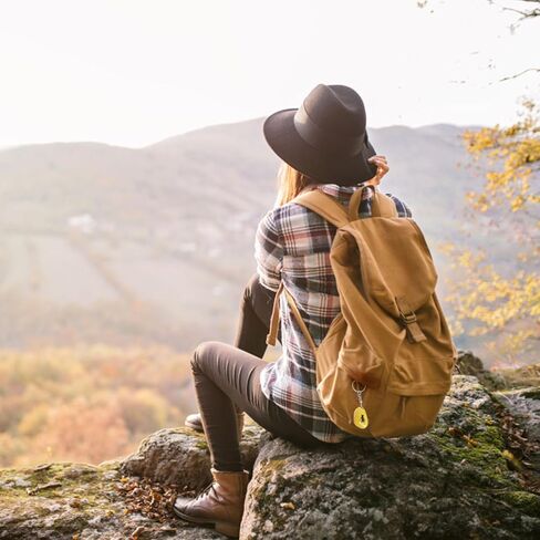 Balacoo 12 قطعة سلسلة مفاتيح على شكل حشرة كهرمانية، سلسلة مفاتيح على شكل حشرة كهرمانية من الكهرمان، سلسلة مفاتيح DIY على شكل حشرة، حلقة مفاتيح أنيقة، قلادة كيرينغ in Kuwait