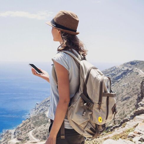 Balacoo 12 قطعة سلسلة مفاتيح على شكل حشرة كهرمانية، سلسلة مفاتيح على شكل حشرة كهرمانية من الكهرمان، سلسلة مفاتيح DIY على شكل حشرة، حلقة مفاتيح أنيقة، قلادة كيرينغ in Kuwait