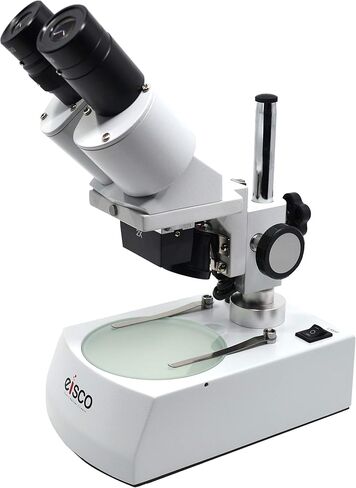 Stereoscopic Microscope - Binocular Head Inclined at 45 Degrees, Fitted with Adjustable Pillar, Cover Included - Eisco Labs in Saudi Arabia