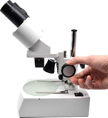 Stereoscopic Microscope - Binocular Head Inclined at 45 Degrees, Fitted with Adjustable Pillar, Cover Included - Eisco Labs in Saudi Arabia