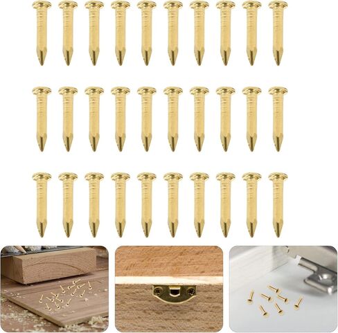 HEALLILY 200pcs Copper Nails for Killing Trees Removing Stumps Copper Nail Spikes Stump Killer for Slating Roofing 8mm (Brass) in Saudi Arabia