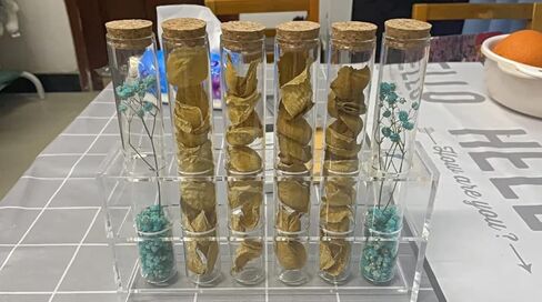 حامل أنبوب اختبار قطعة واحدة من Othmro، حامل أنبوب طرد مركزي 14 مم 24 بئر، حامل بلاستيكي مستطيل حامل حامل أنبوب اختبار رف حامل المختبر لتزيين الحفلات شفاف in Kuwait