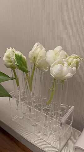 حامل أنبوب اختبار قطعة واحدة من Othmro، حامل أنبوب طرد مركزي 14 مم 24 بئر، حامل بلاستيكي مستطيل حامل حامل أنبوب اختبار رف حامل المختبر لتزيين الحفلات شفاف in Kuwait