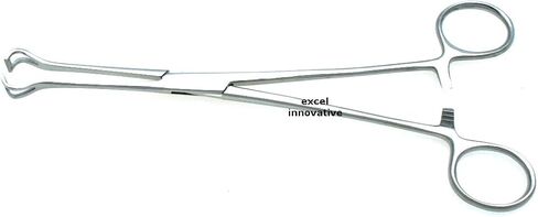 Babcock Tissue Forceps With Ratchet Lock (Multiple Size Options) | Medixplus (6.25" Length - Jaws 9mm Wide) in Saudi Arabia