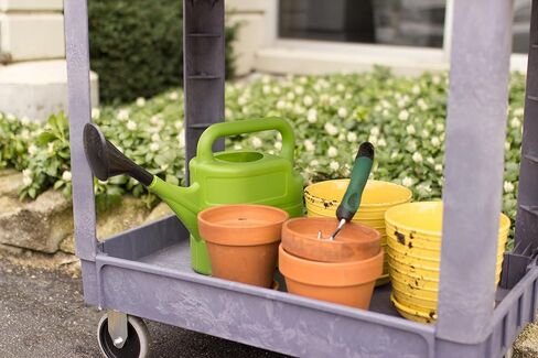 WEN 73162 Two-Tray 300-Pound Capacity Double Decker Service and Utility Cart in Saudi Arabia
