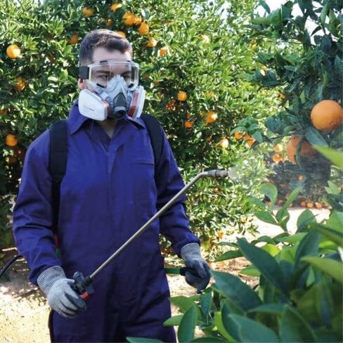 غطاء وجه من رينو للطلاء والغبار والجسيمات والمواد الكيميائية وتلميع الابخرة العضوية وحبوب اللقاح والمواد الكيميائية مع فلتر قطن in Kuwait