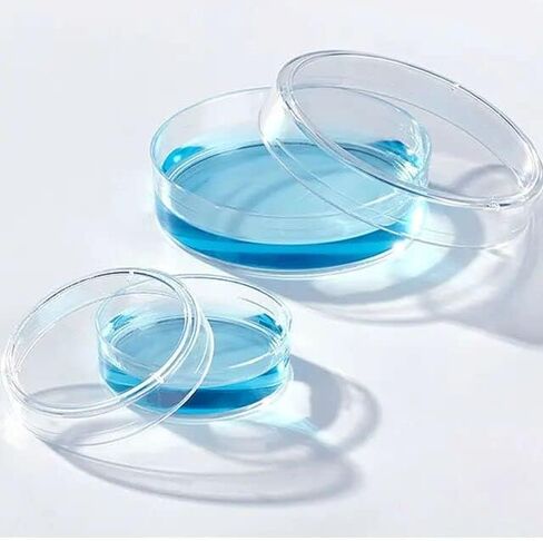 طبق بيتري من البوليستيرين 60 × 15 مم، معقم، عبوة من 10 قطع in Kuwait